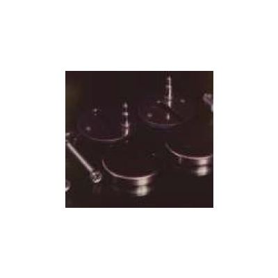 CERNIERE INOX PER SEDILE WC TERMOINDURENTE STACCABILE